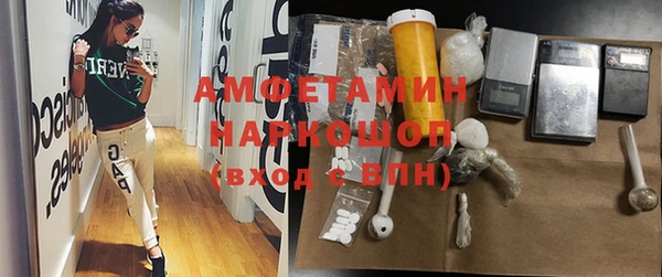 МДПВ Аша
